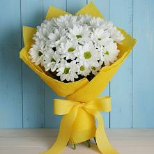 Букет цветов из:  Хризантемы в Молзино