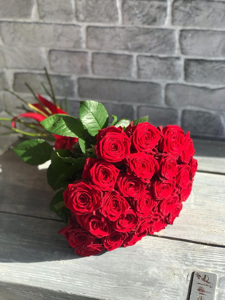 Букет Красные розы Фридом в Молзино